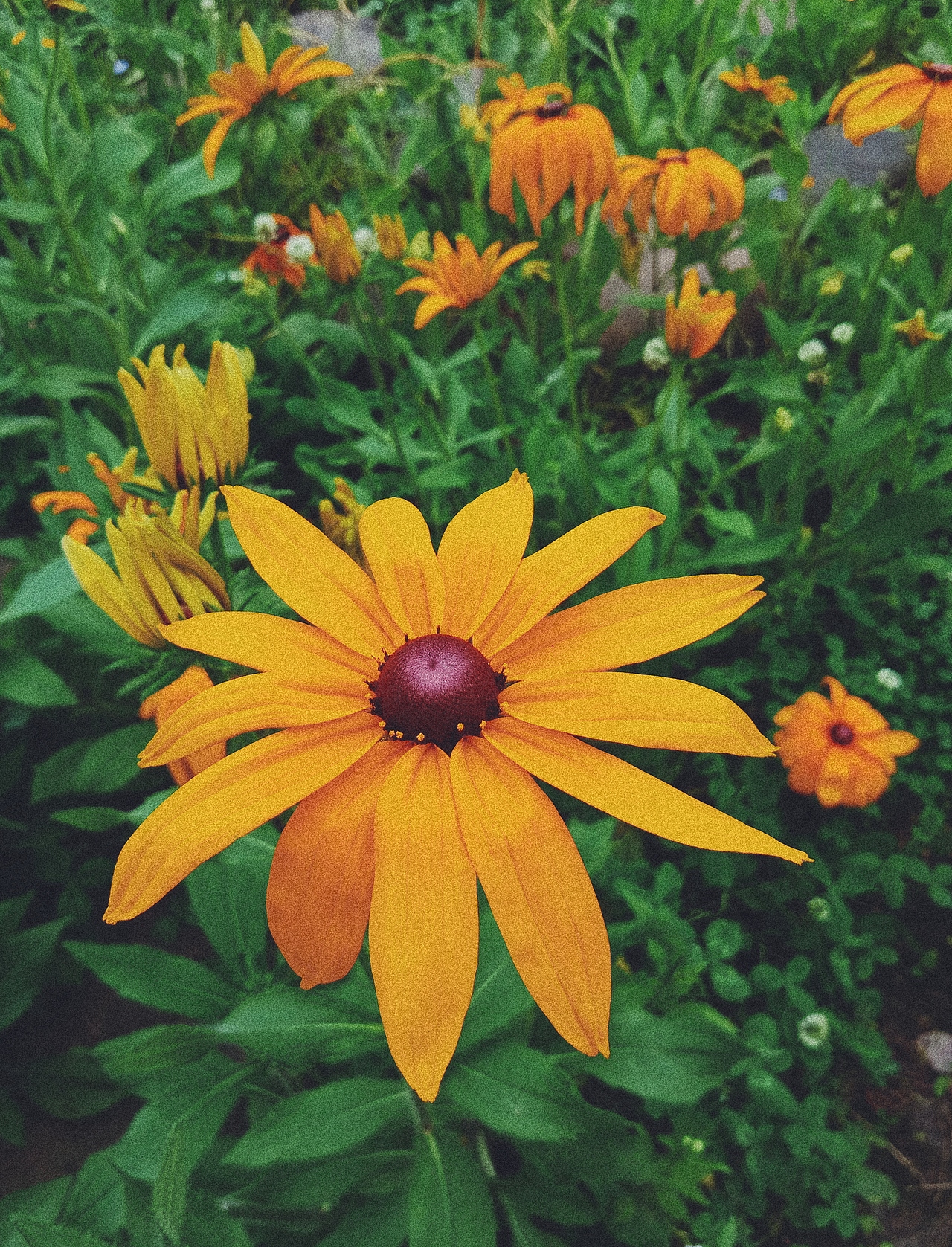 摄影（图ZMTYyMjc0MDEy） - 风光摄影 - 站酷设计师鱼肚子里的小孩原创素材 - 站酷ZCOOL