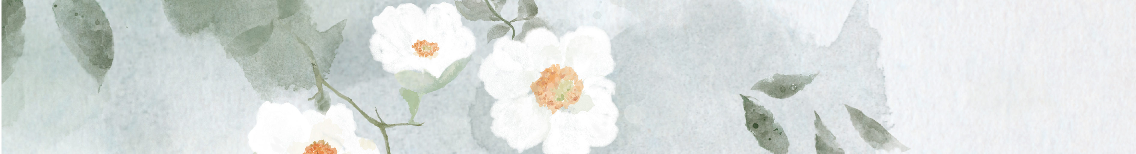 MingMingM的个人主页（封面预览） - 主页封面设置 - 站酷设计师MingMingM原创素材 - 站酷ZCOOL