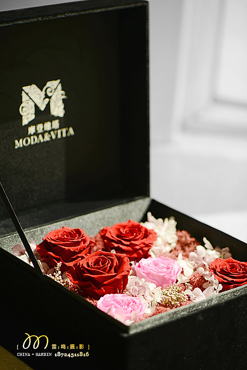 我们一起玩摄影,哈尔滨雷鸣摄影,2014年度作品