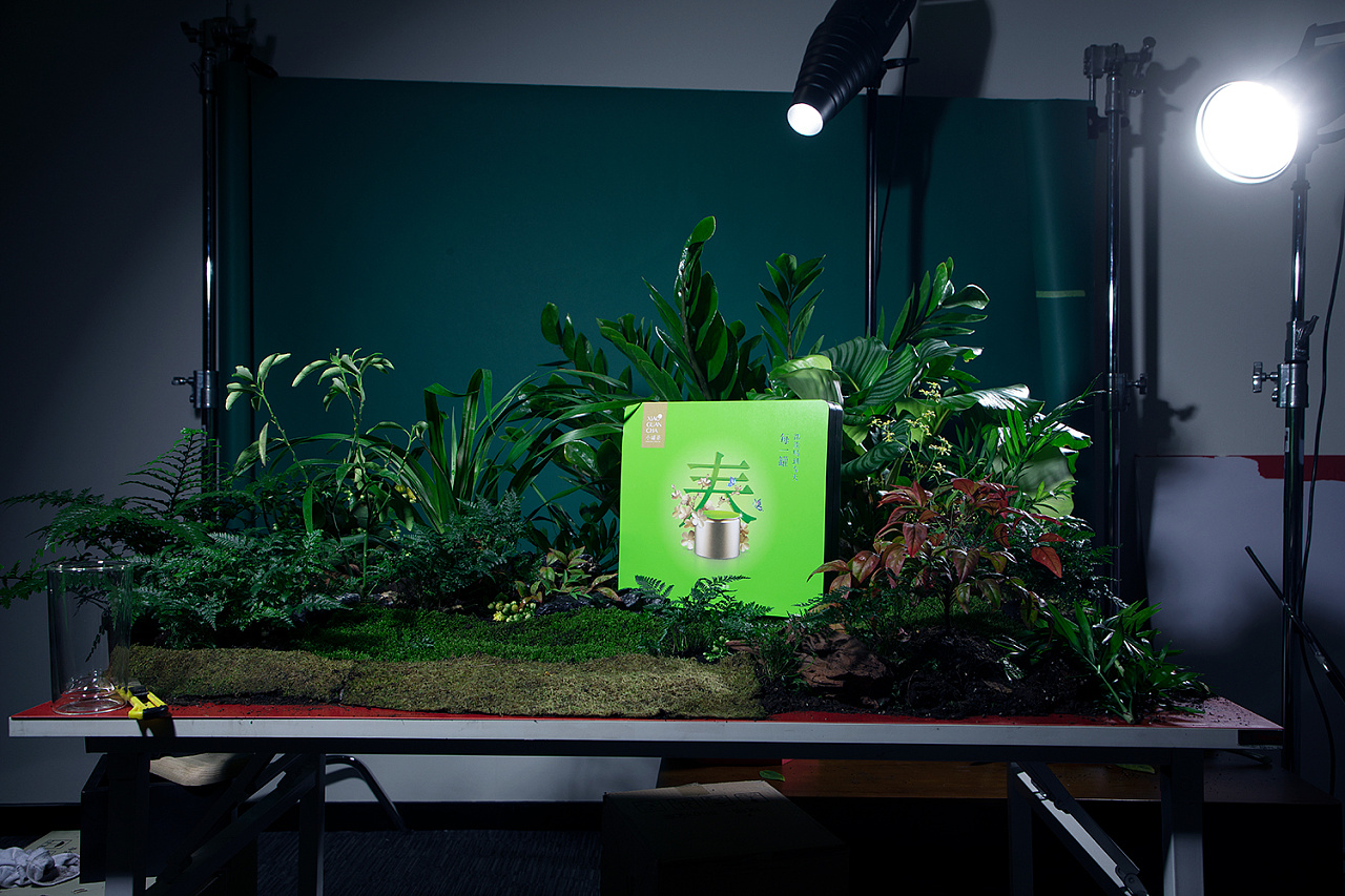 专业静物产品造型师,针对产品进行现场造型和设计拍摄