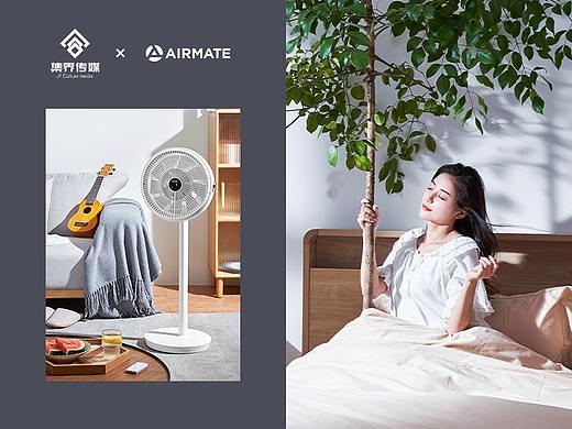 AIRMATE艾美特风扇合集*3