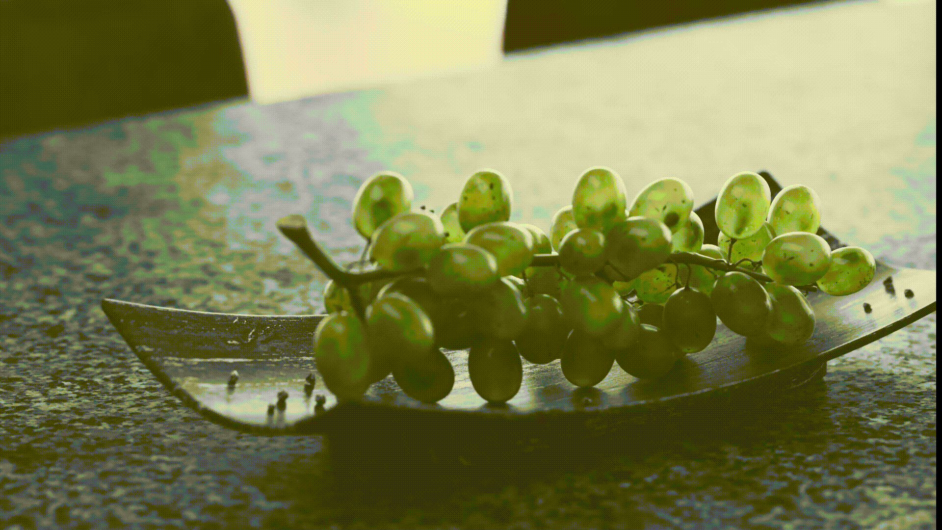 Life—Octane渲染练习