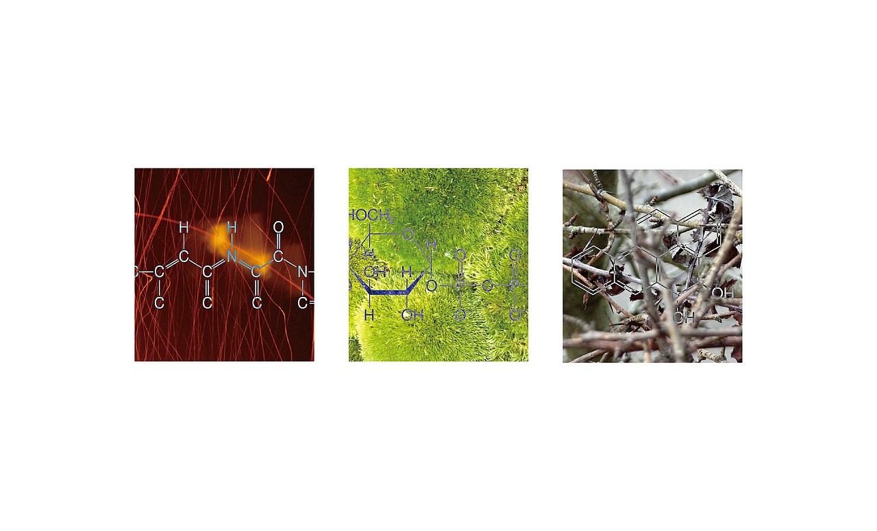 中塑集团LOGO视觉（图ZNzgzOTA5Mjg=） - Logo - 站酷设计师joymany九万里原创素材 - 站酷ZCOOL