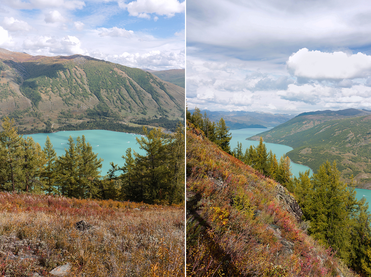 喀纳斯（北疆行2）#唤醒相册 激活镜头里的多巴胺 #（图ZMzUyMTU3MjIw） - 风光摄影 - 站酷设计师OK棒_原创素材 - 站酷ZCOOL