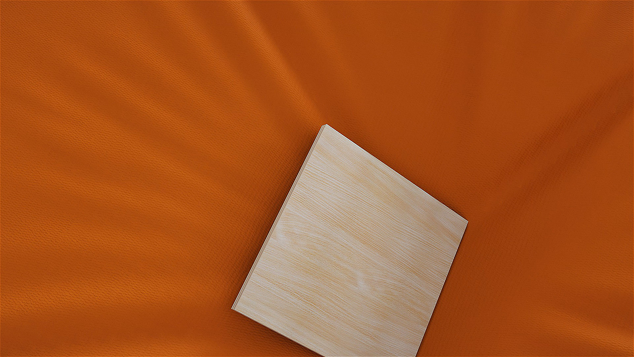 “匹克球（Pickleball）”的产品概念三维动画（图ZMzAwOTcxOTQw） - 产品 - 站酷设计师Jace津原创素材 - 站酷ZCOOL