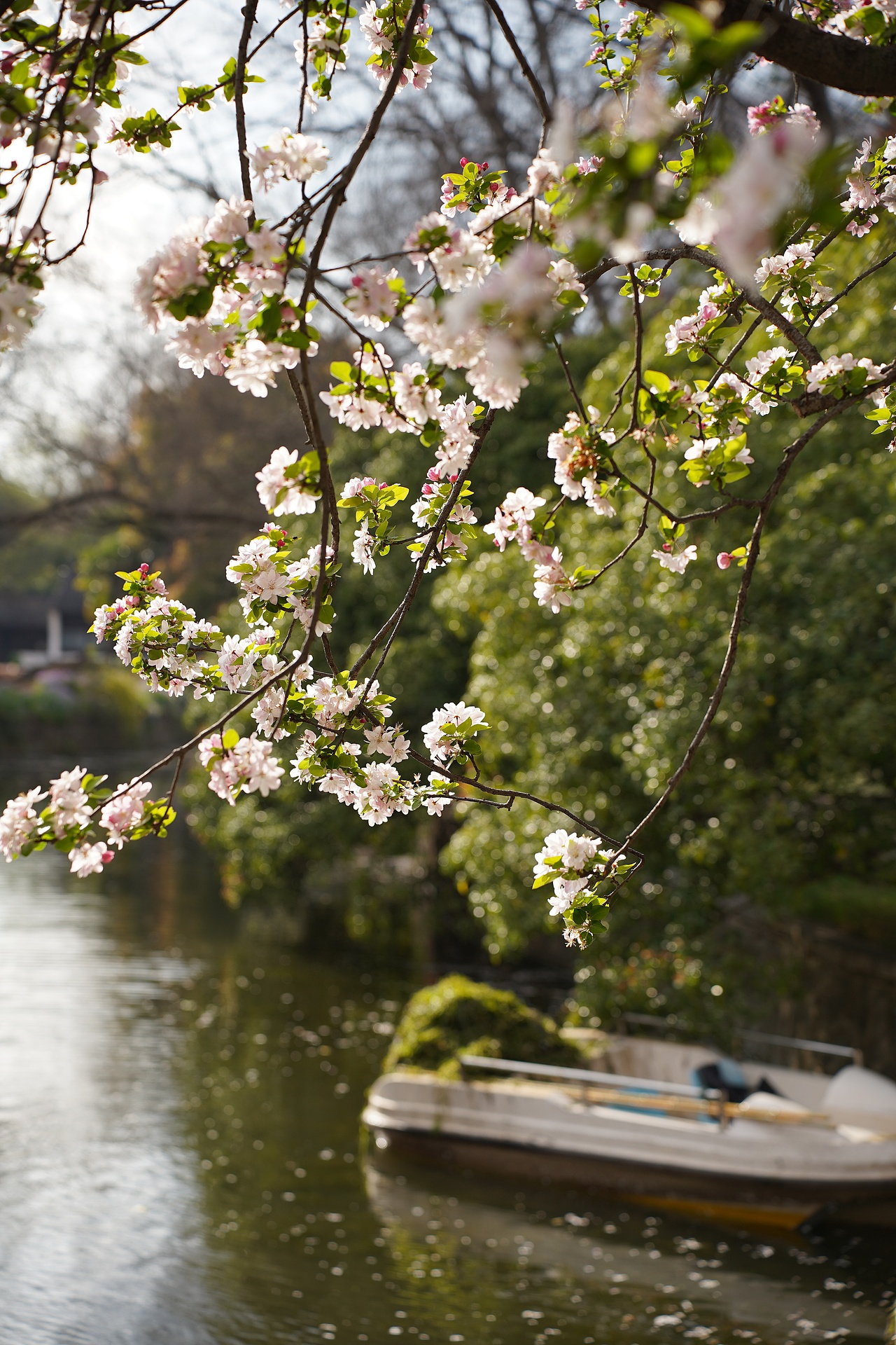 南京莫愁湖公园