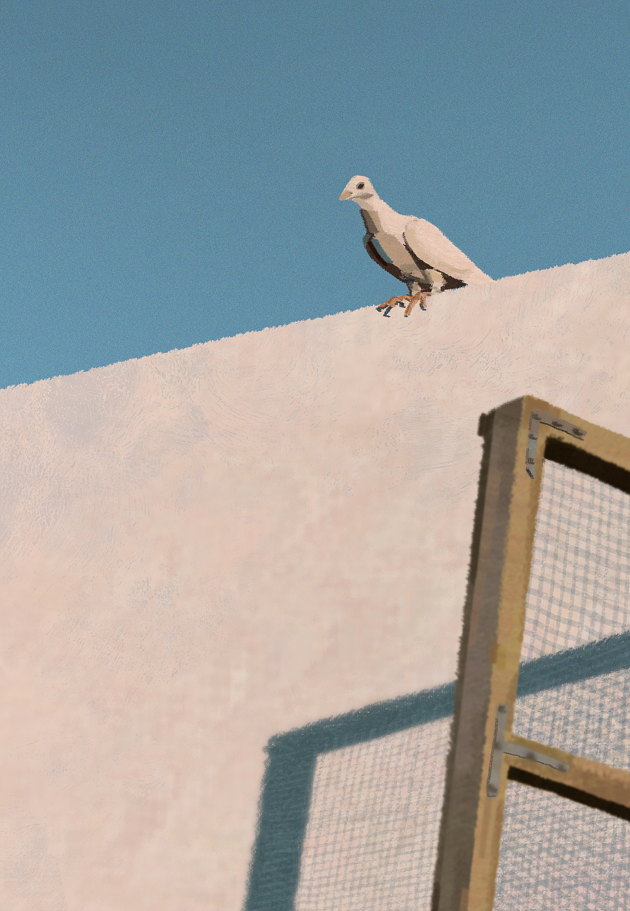 #色彩60天挑战赛#1-10day@色彩班长