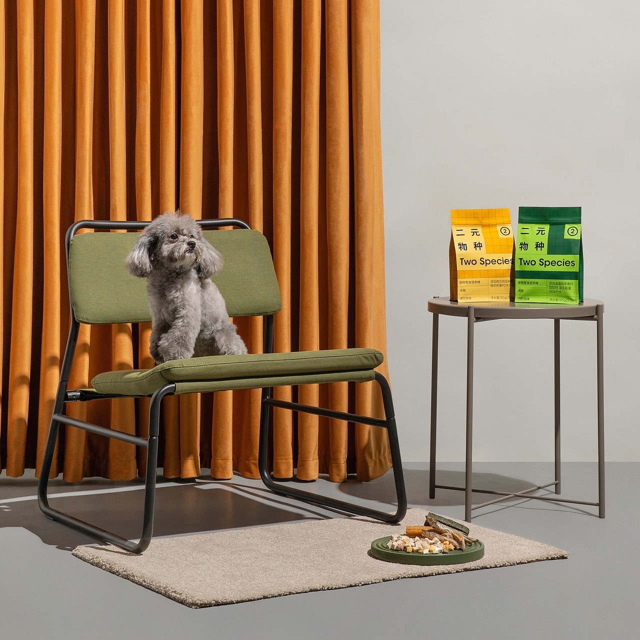 「二元物种·Two Species 」人宠双向友好产品摄影（图ZMjk2NjE0NTUy） - 产品摄影 - 站酷设计师摄影师王石路原创素材 - 站酷ZCOOL
