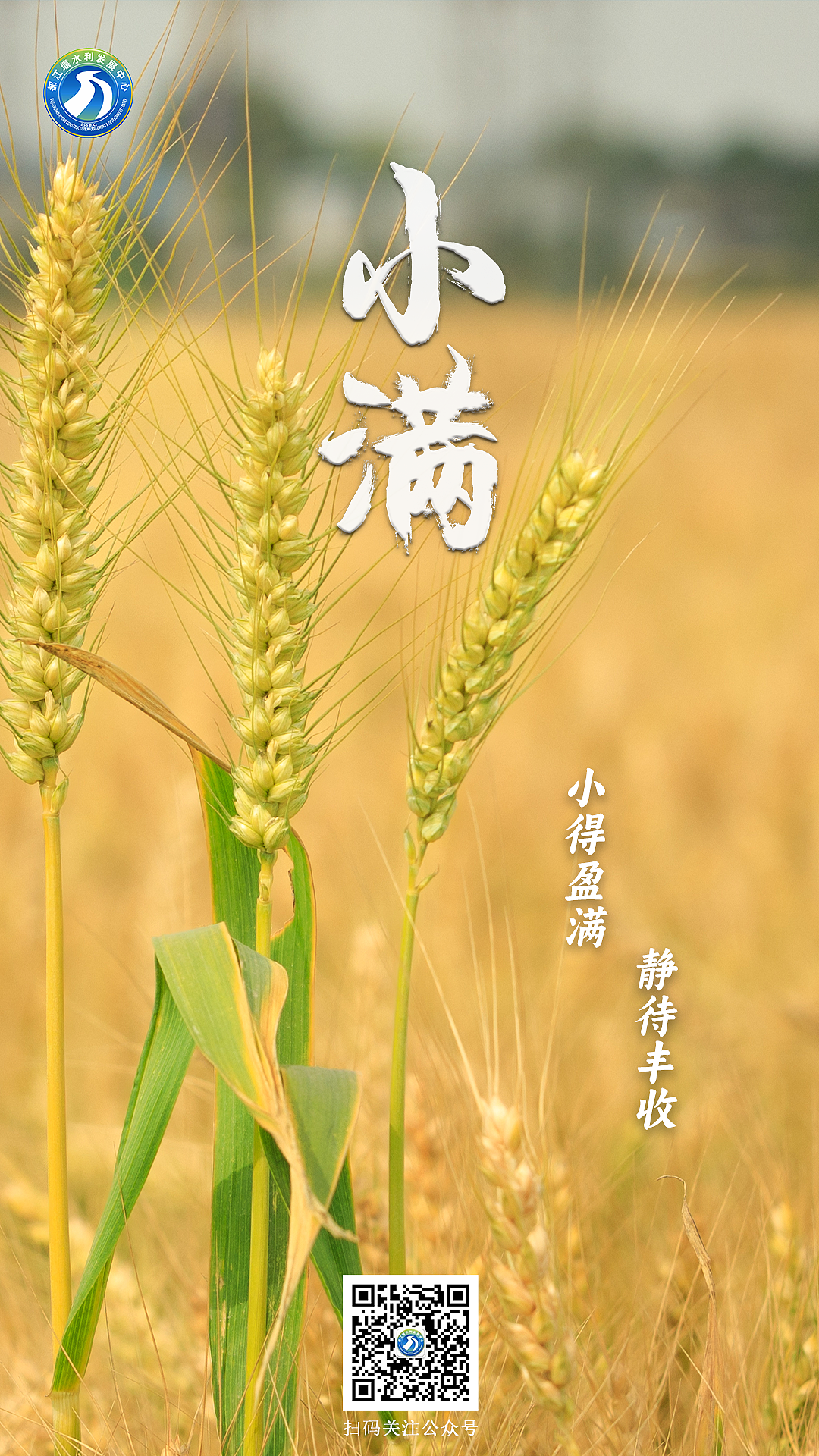 五月节气海报存档（立夏小满）（图ZMzQ2NDgyMjQ0） - 海报 - 站酷设计师Papadijiang原创素材 - 站酷ZCOOL