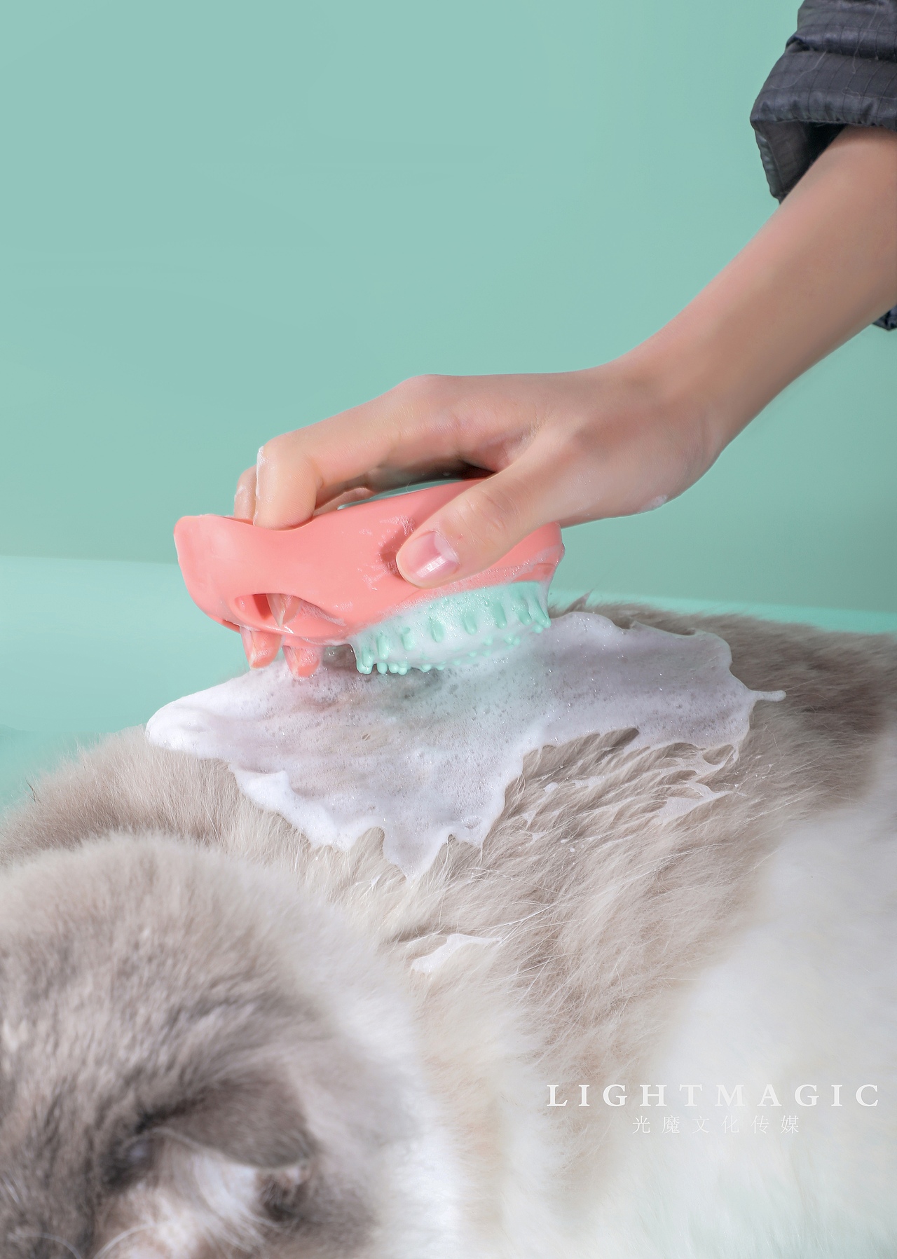 宠物刷宠物用品