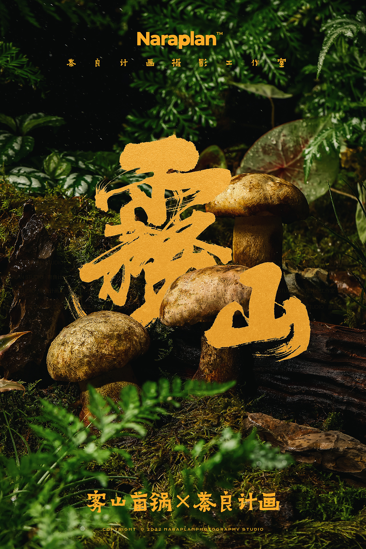 雾山菌锅×萘良美食摄影 | 松茸菌菇火锅美食造景