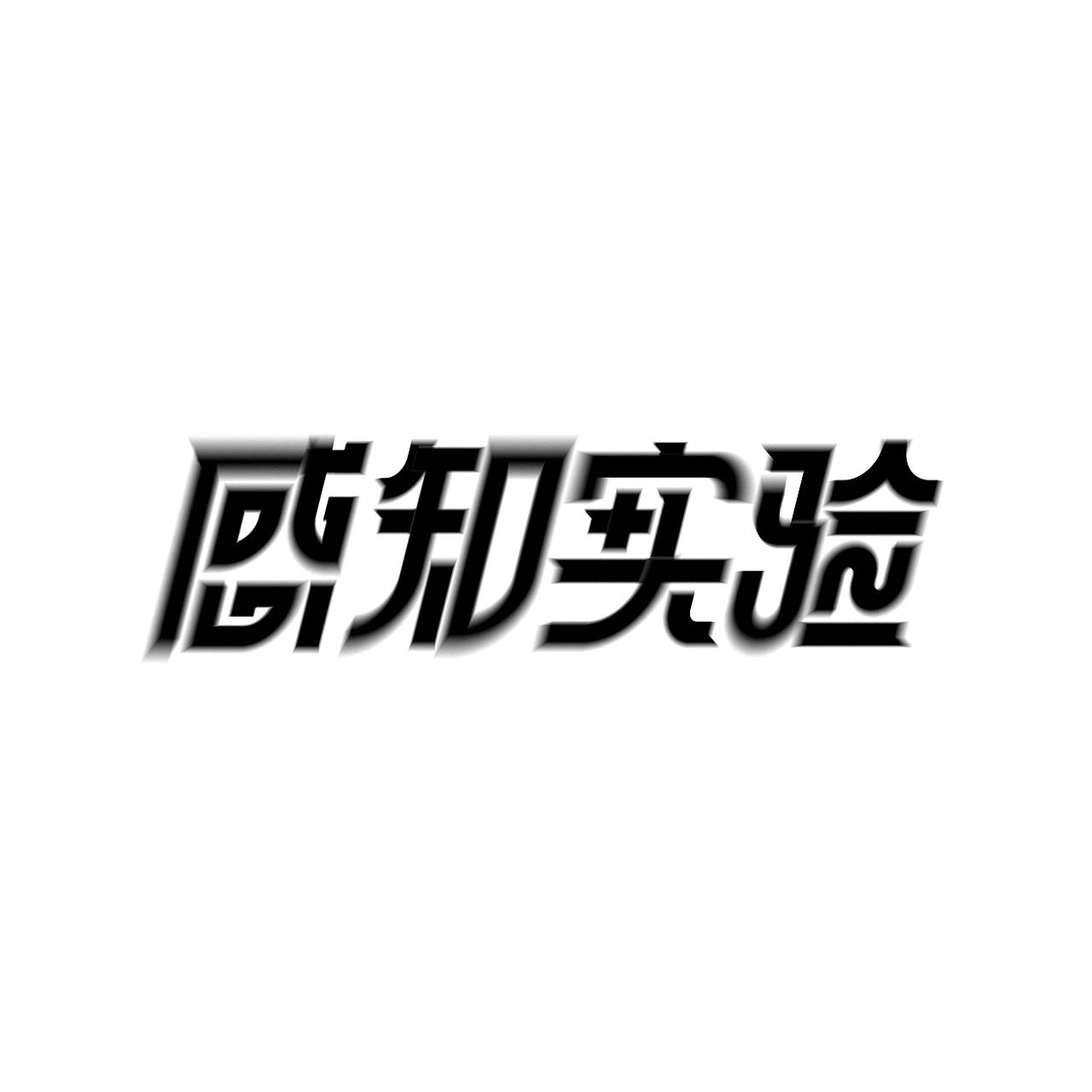 感知实验（图ZMzEzNjczMDMy） - 字体/字形 - 站酷设计师我与小波原创素材 - 站酷ZCOOL