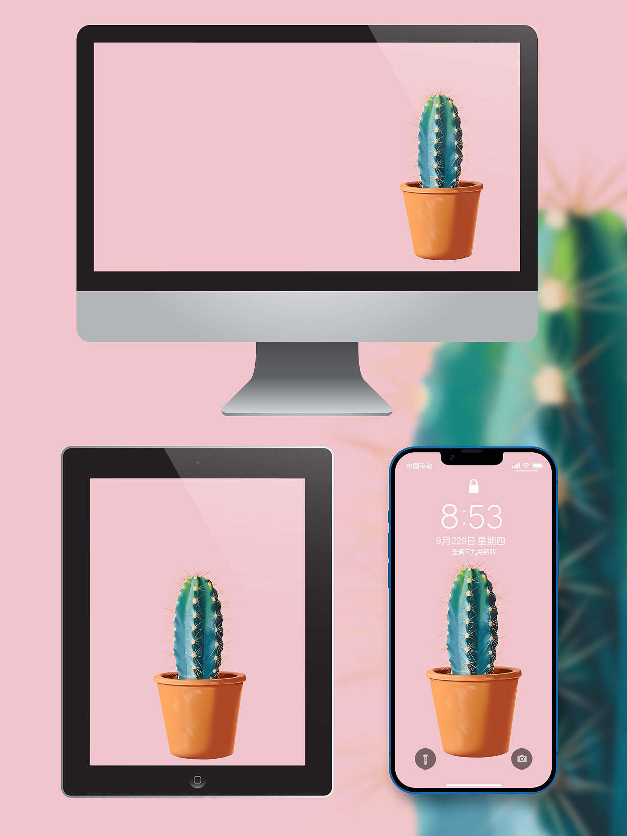 原创小清晰仙人掌绿植插画