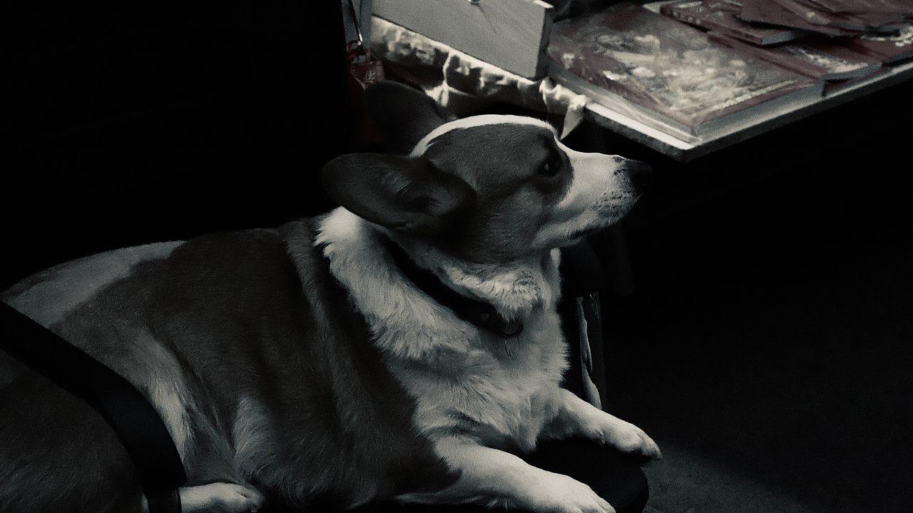 Urban Streets丨成都《1》（图ZMzYwMjIzNTY4） - 人文/纪实摄影 - 站酷设计师SPACE_Z原创素材 - 站酷ZCOOL