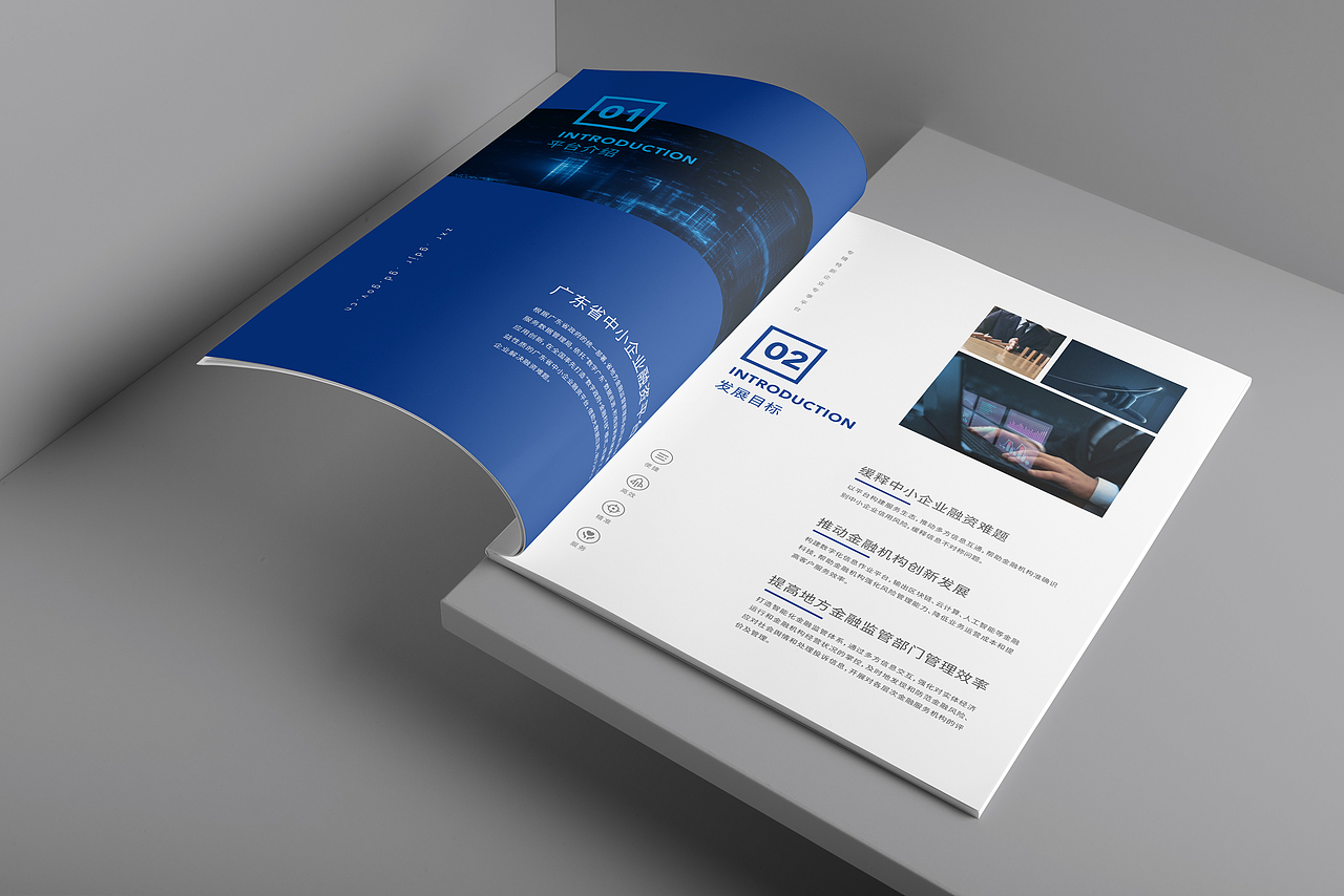 金融画册，封面内页版式设计（图ZMzEzOTg0ODQw） - 书籍/画册 - 站酷设计师维拓设计原创素材 - 站酷ZCOOL