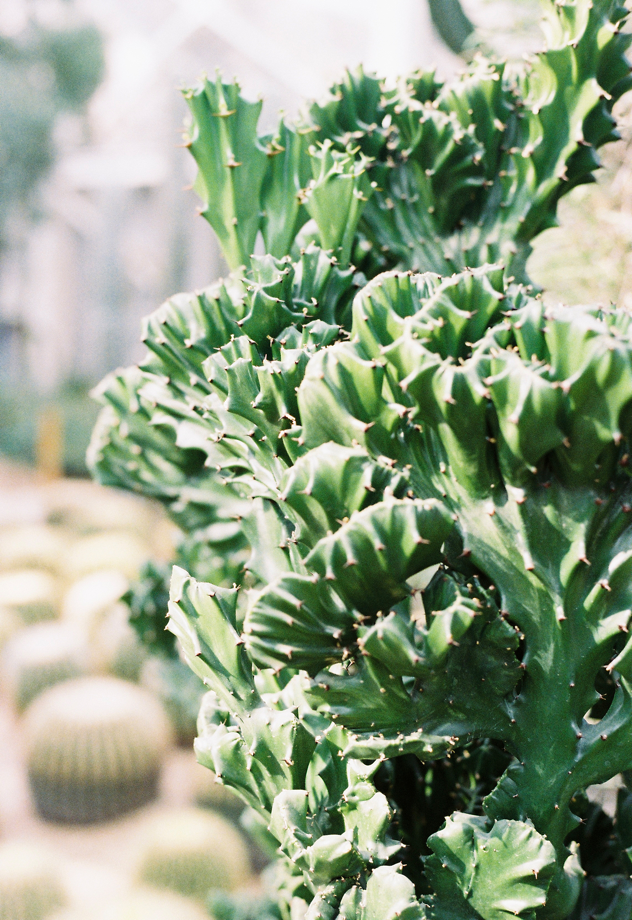 光影/绿色/一抹云