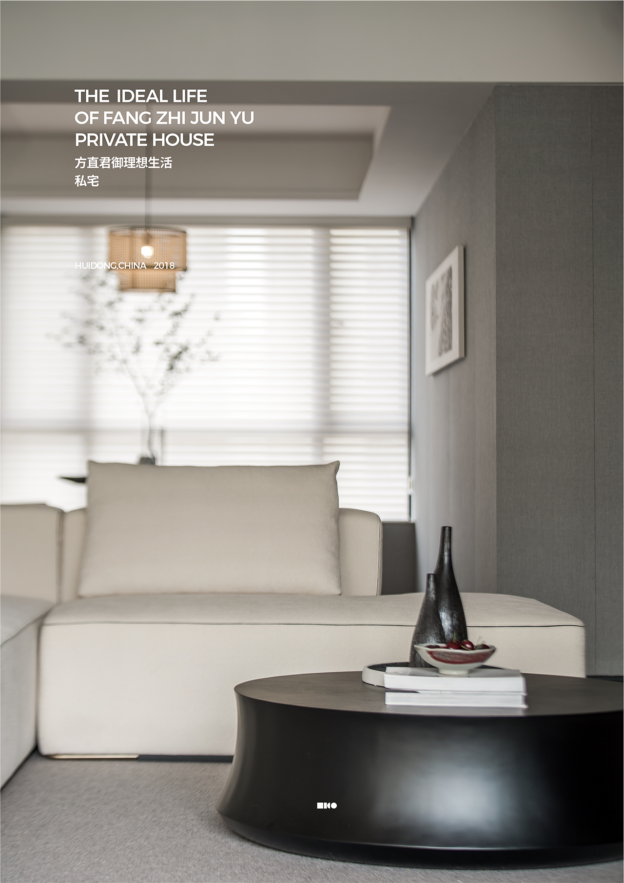 DRD I LICO力高设计客户帮助指南