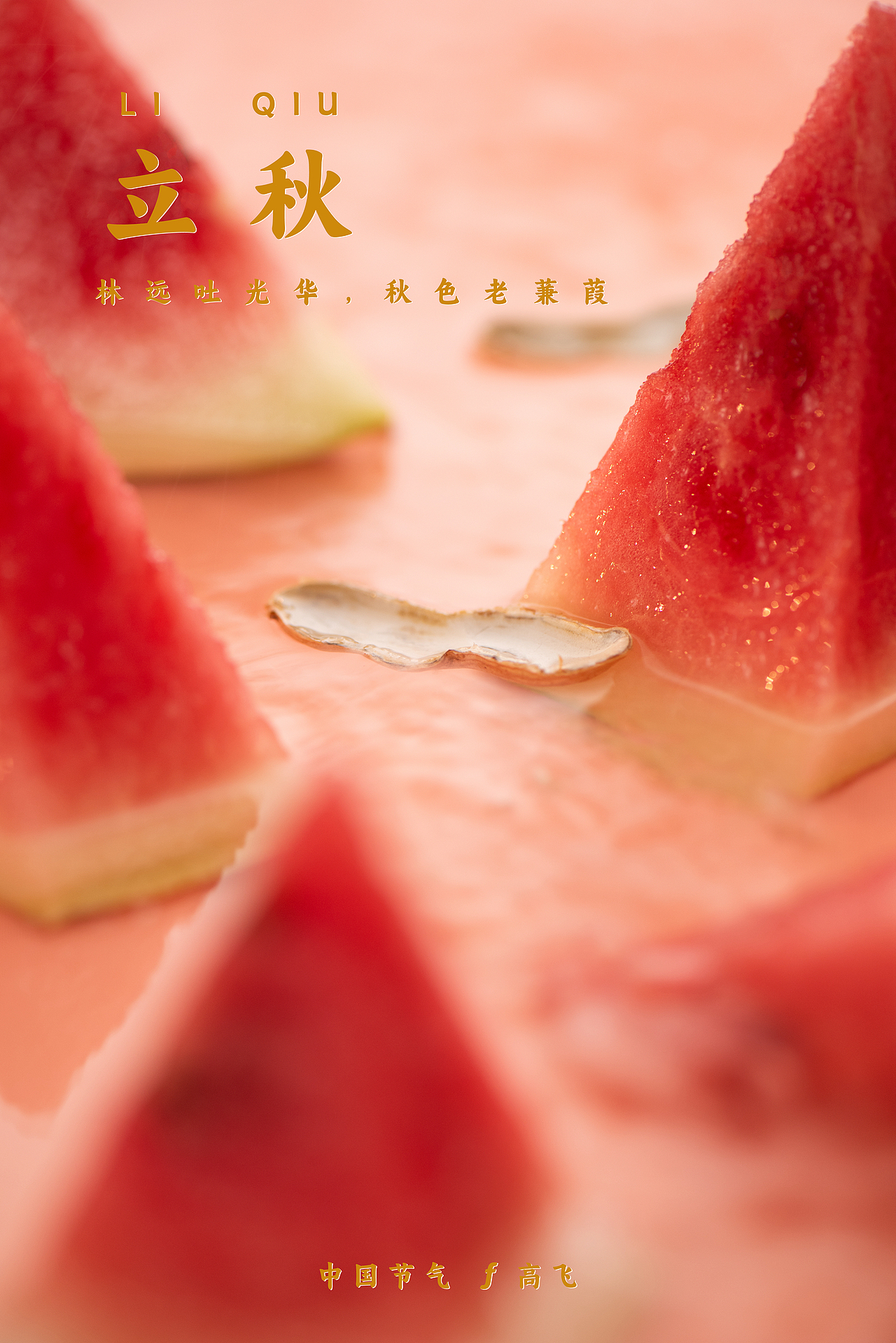 【中国节气】不言四时行 ——二十四节气 汇总合集