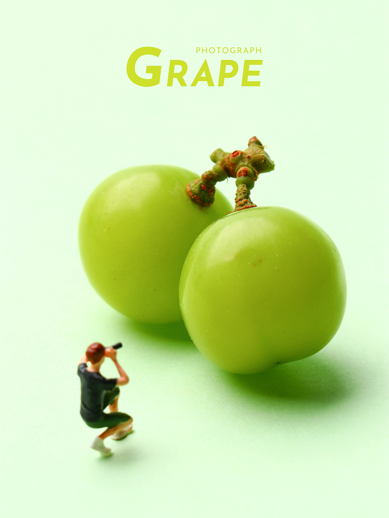 创意摄影|阳光玫瑰的雀跃时刻