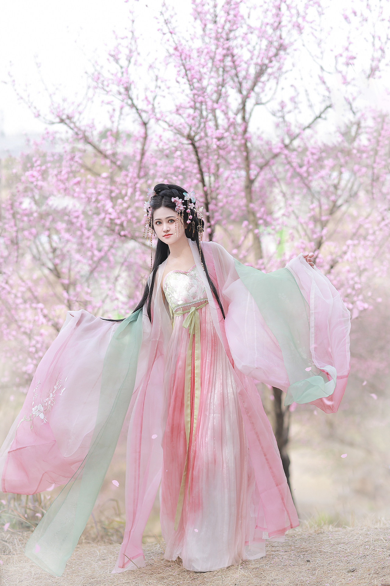 客 | 春日梅花汉服写真