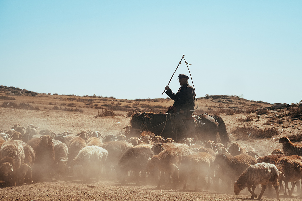 北疆喀纳斯禾木乡之旅（图ZMzE1NTgwNzAw） - 人文/纪实摄影 - 站酷设计师拾光朝圣者原创素材 - 站酷ZCOOL