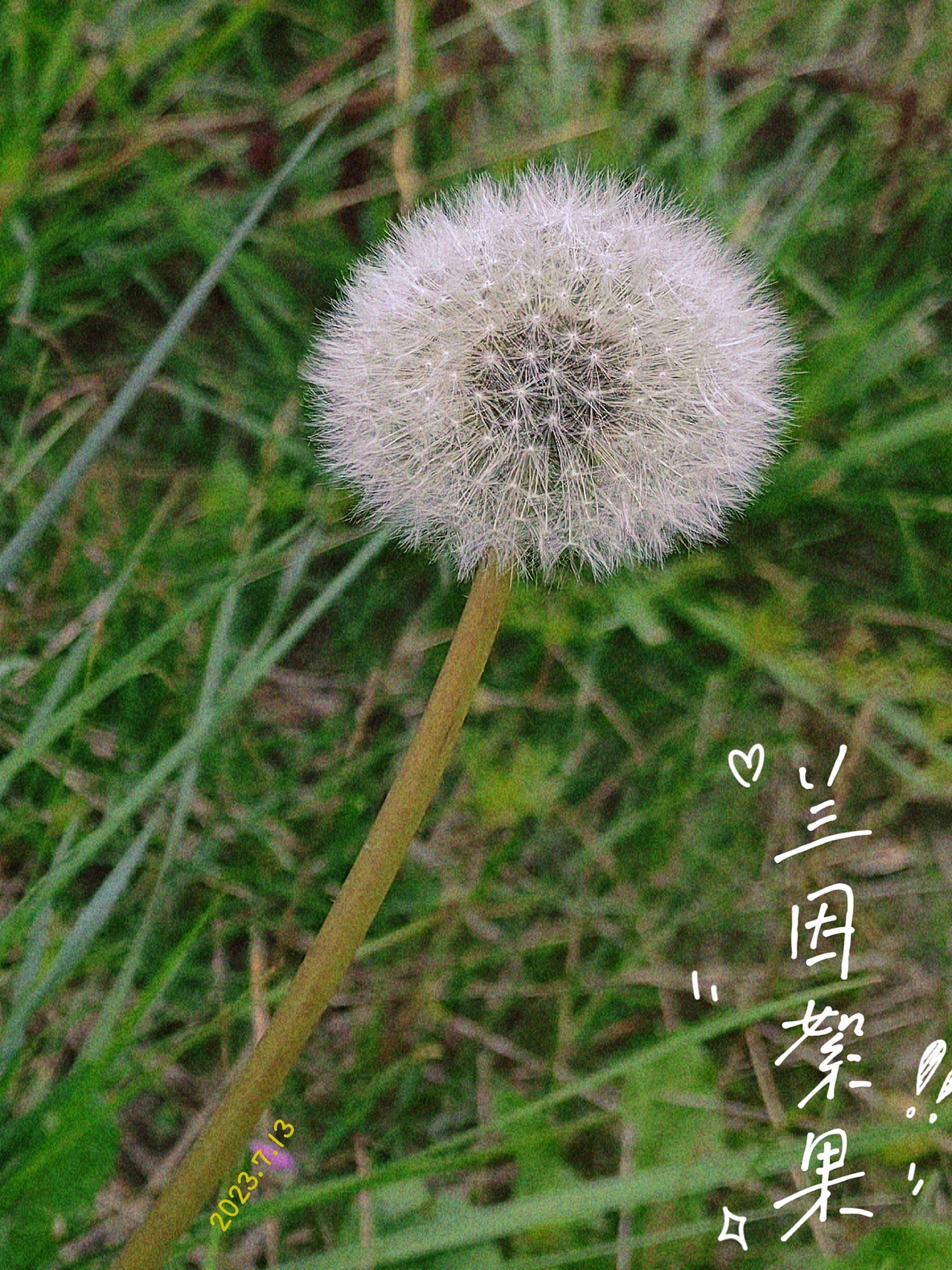 热爱是一切选择的答案！（图ZMzQ1NzQ3MTE2） - 其他摄影 - 站酷设计师shimmerww原创素材 - 站酷ZCOOL