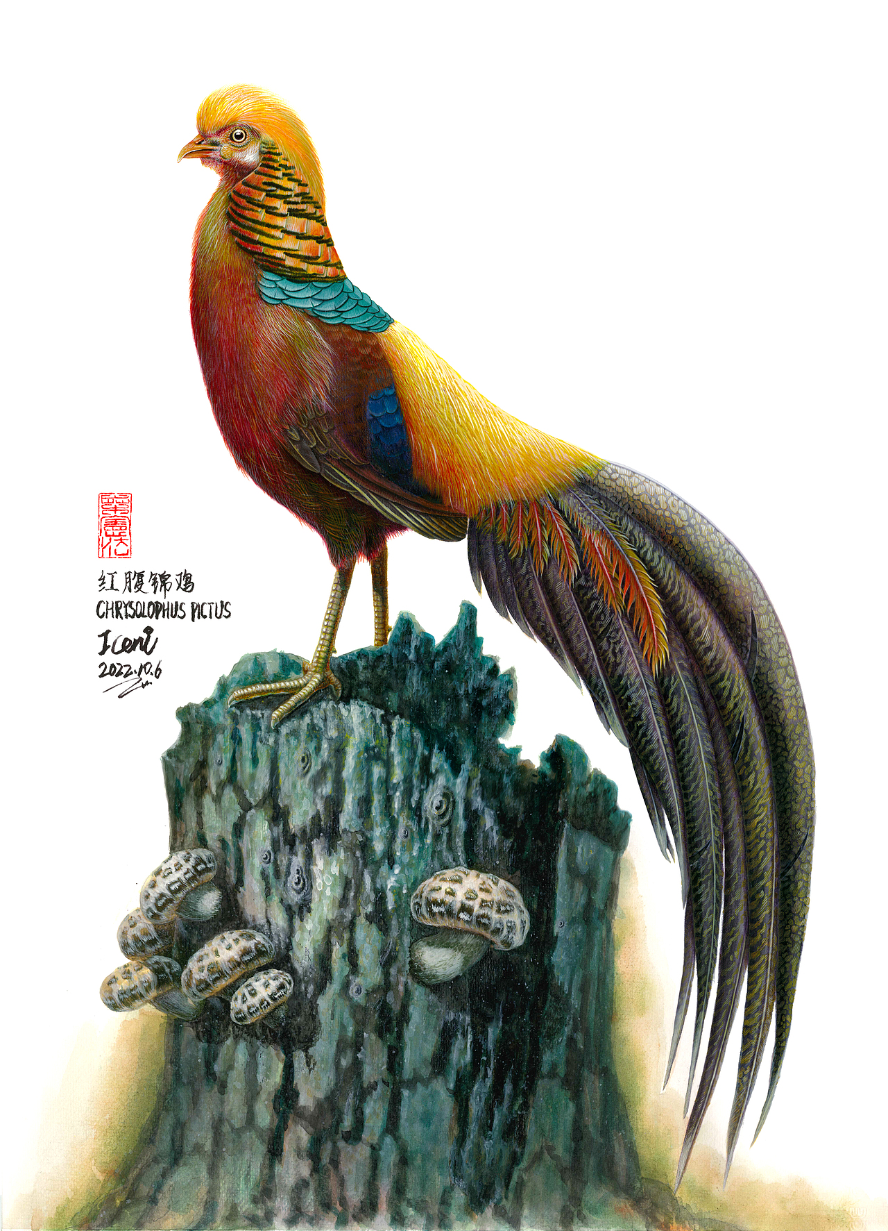 1280_1773竖版 竖屏