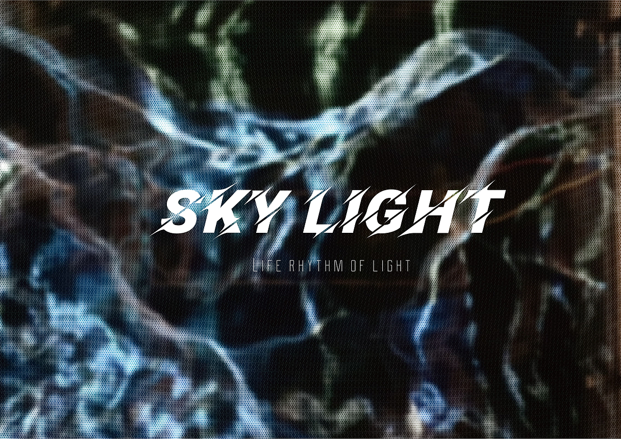 skylight艺术装置