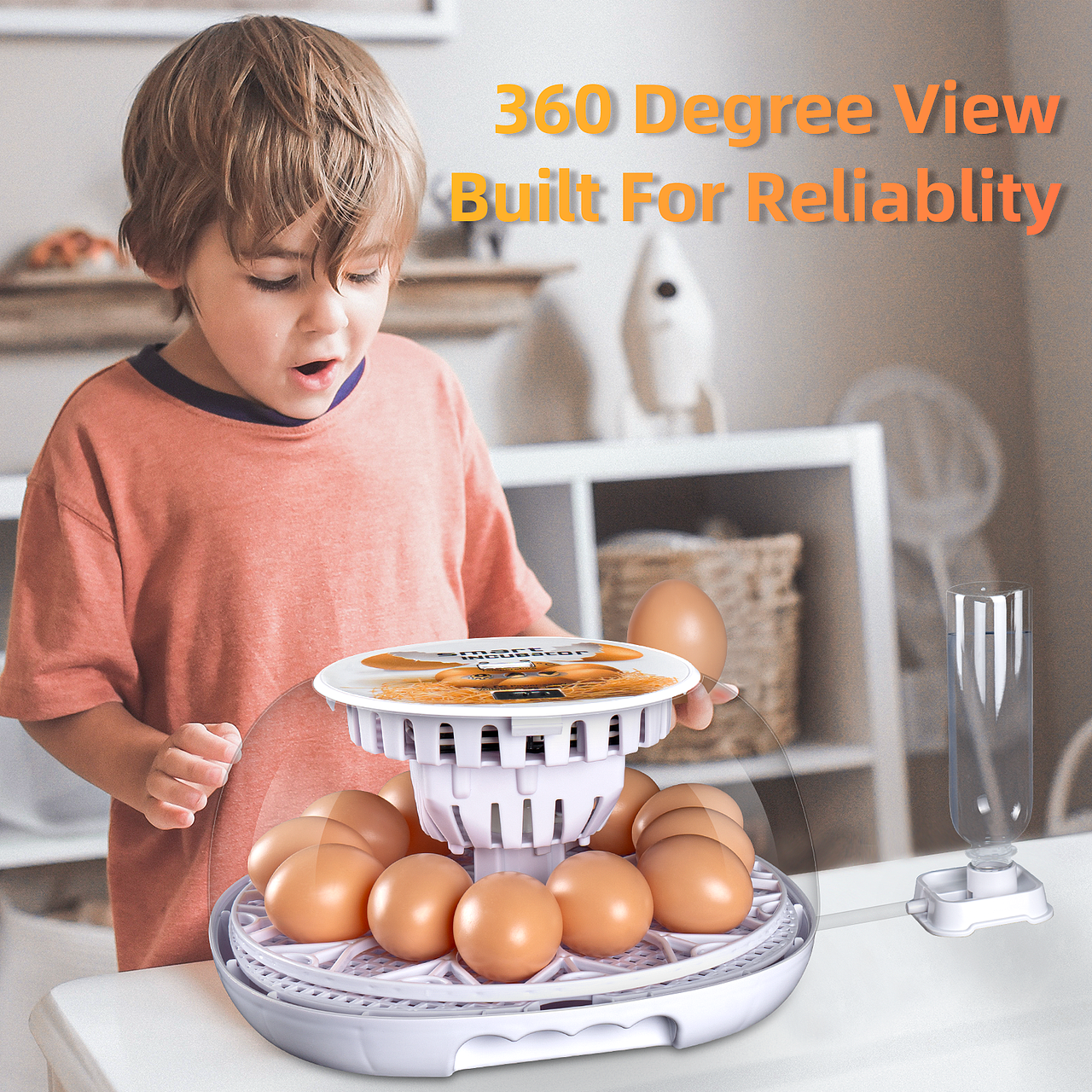 杭州斯巴达产品项目:蛋类孵化器