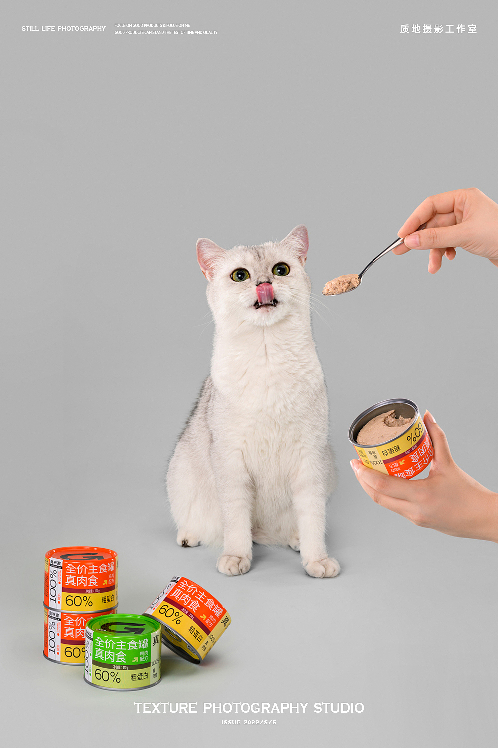 猫粮摄影 I 高爷家 x TPstudio摄影