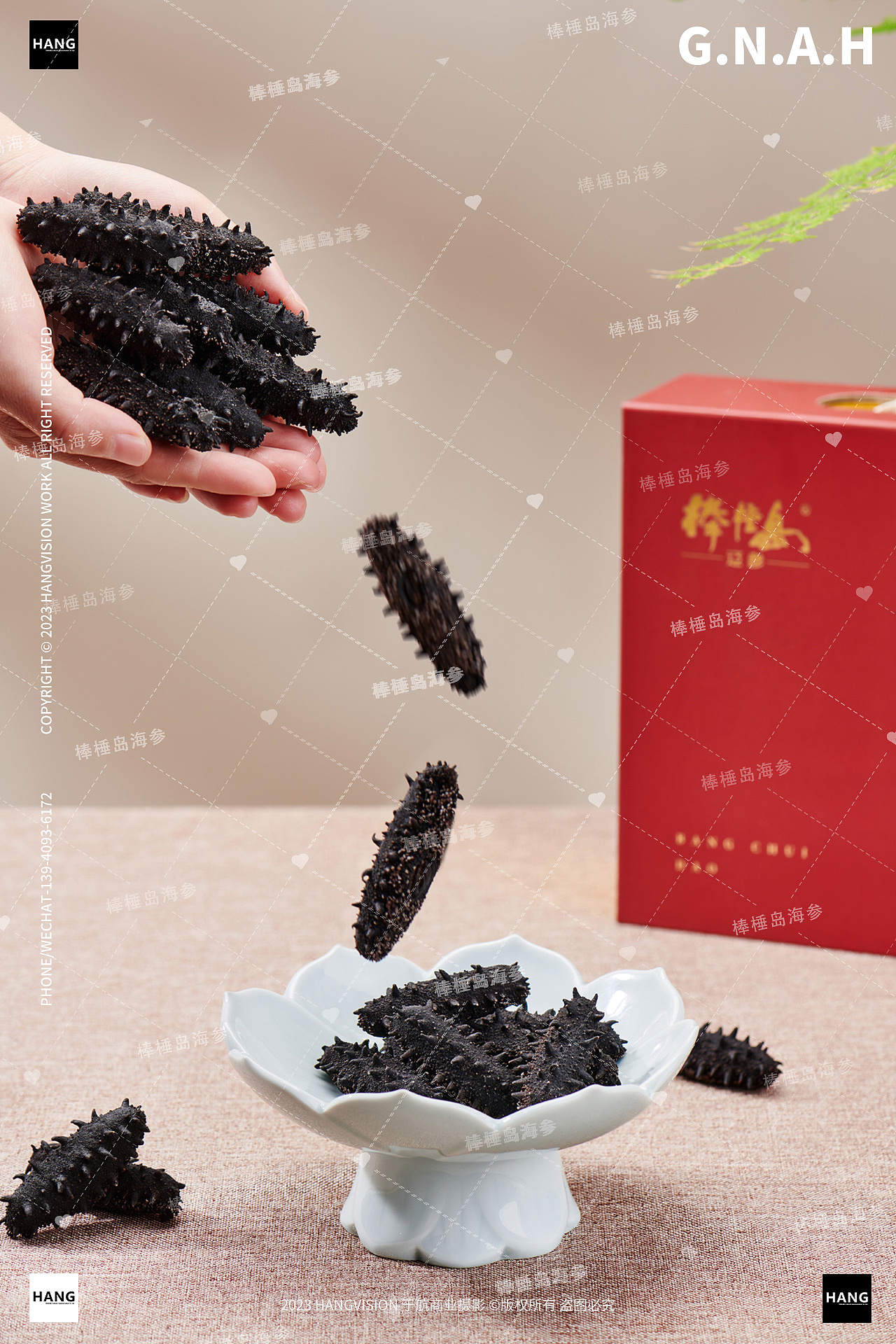 大连海参拍摄干海参即食海参棒棰岛野生海参海鲜拍摄