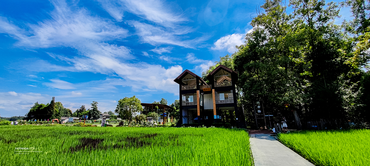 [旅行] 治愈系“稻海”：万春·和林稻海