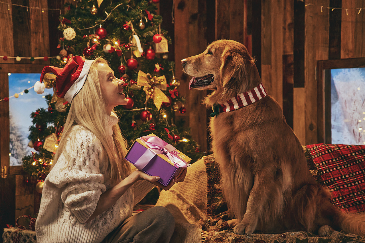 商业拍摄-宠物护理产品圣诞节主题拍摄