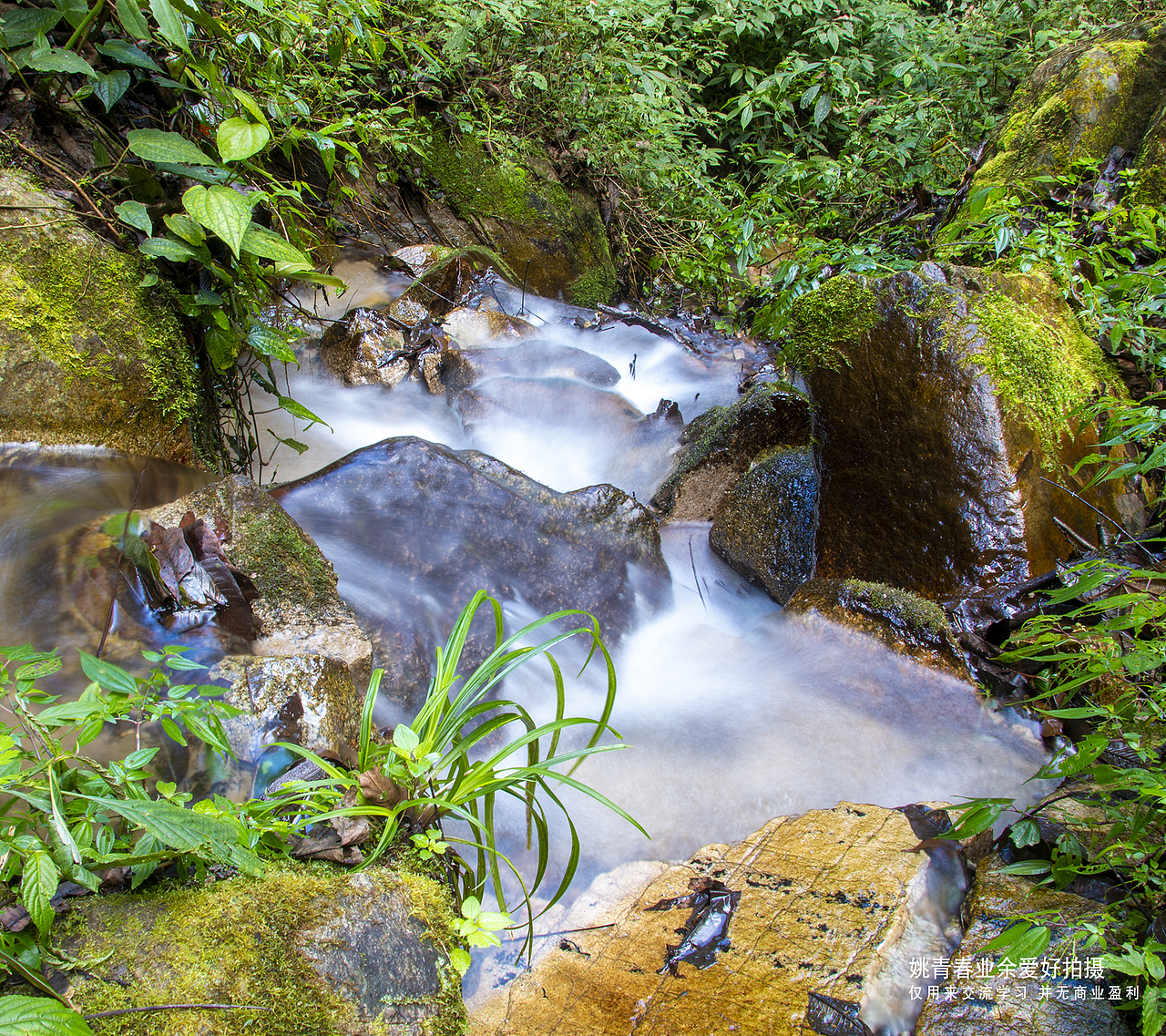 云南旅游攻略自由行临沧市凤庆县自然风光山水风景姚青春2021