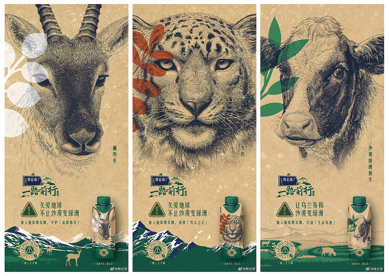 特仑苏沙漠有机包装插画｜雪豹、藏羚羊、奶牛（图ZMzU5NzAyNzAw） - 商业插画 - 站酷设计师欧阳鹏杰_OY原创素材 - 站酷ZCOOL