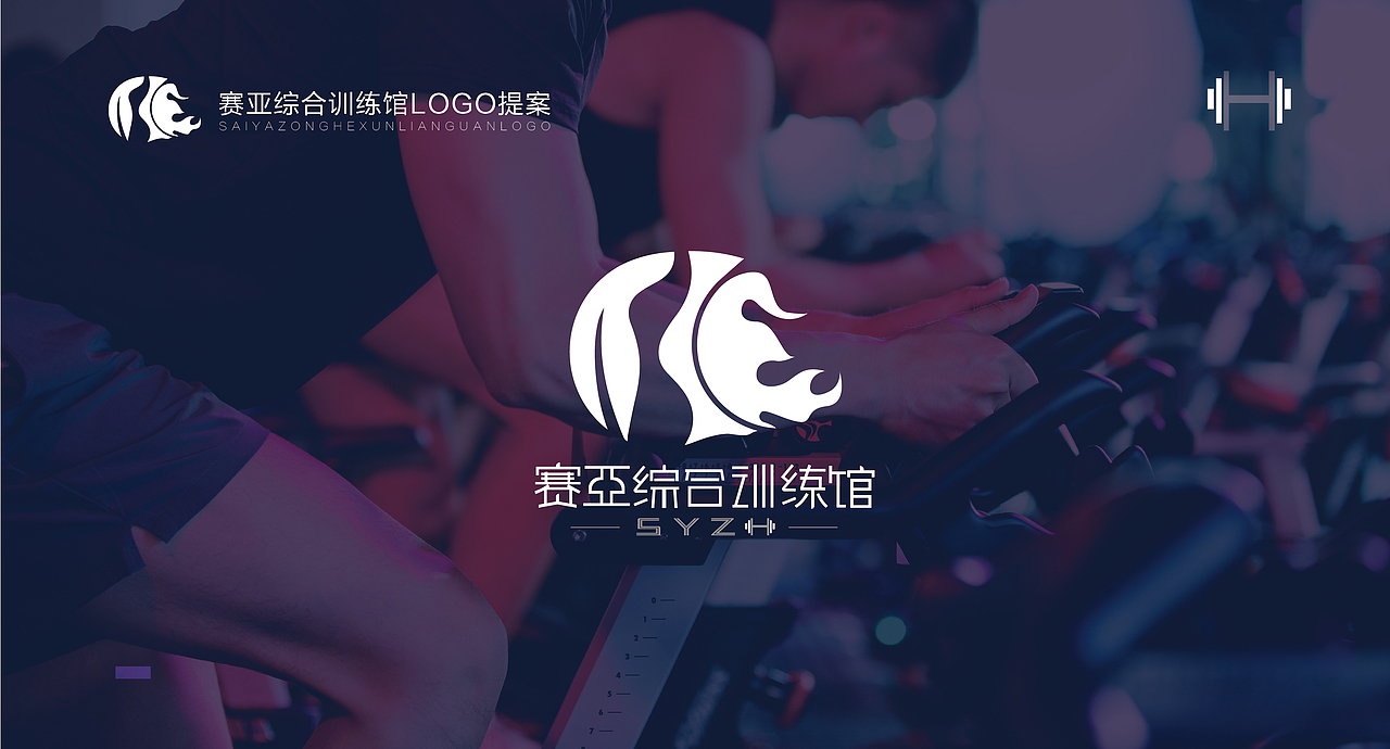 塞亚综合训练馆logo提案