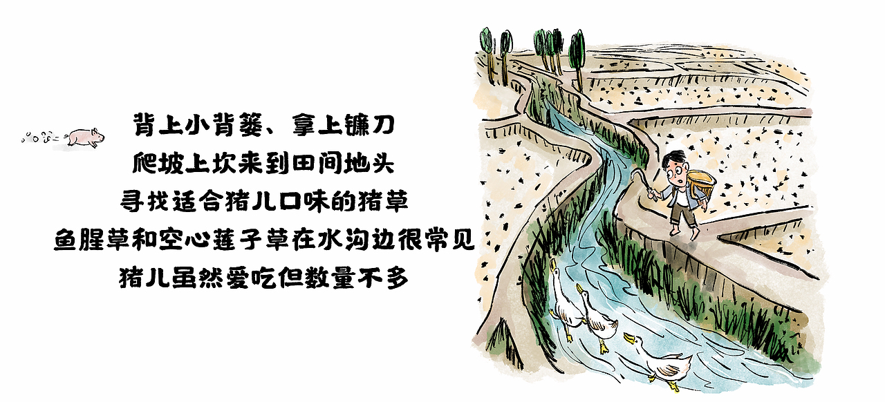 【漫画】那年 · 那人· 那事 / 喂猪（图ZMjk3NTEzMDI0） - 中/长篇漫画 - 站酷设计师将军他爸原创素材 - 站酷ZCOOL