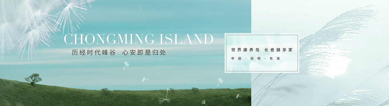 岛居康养提案视觉