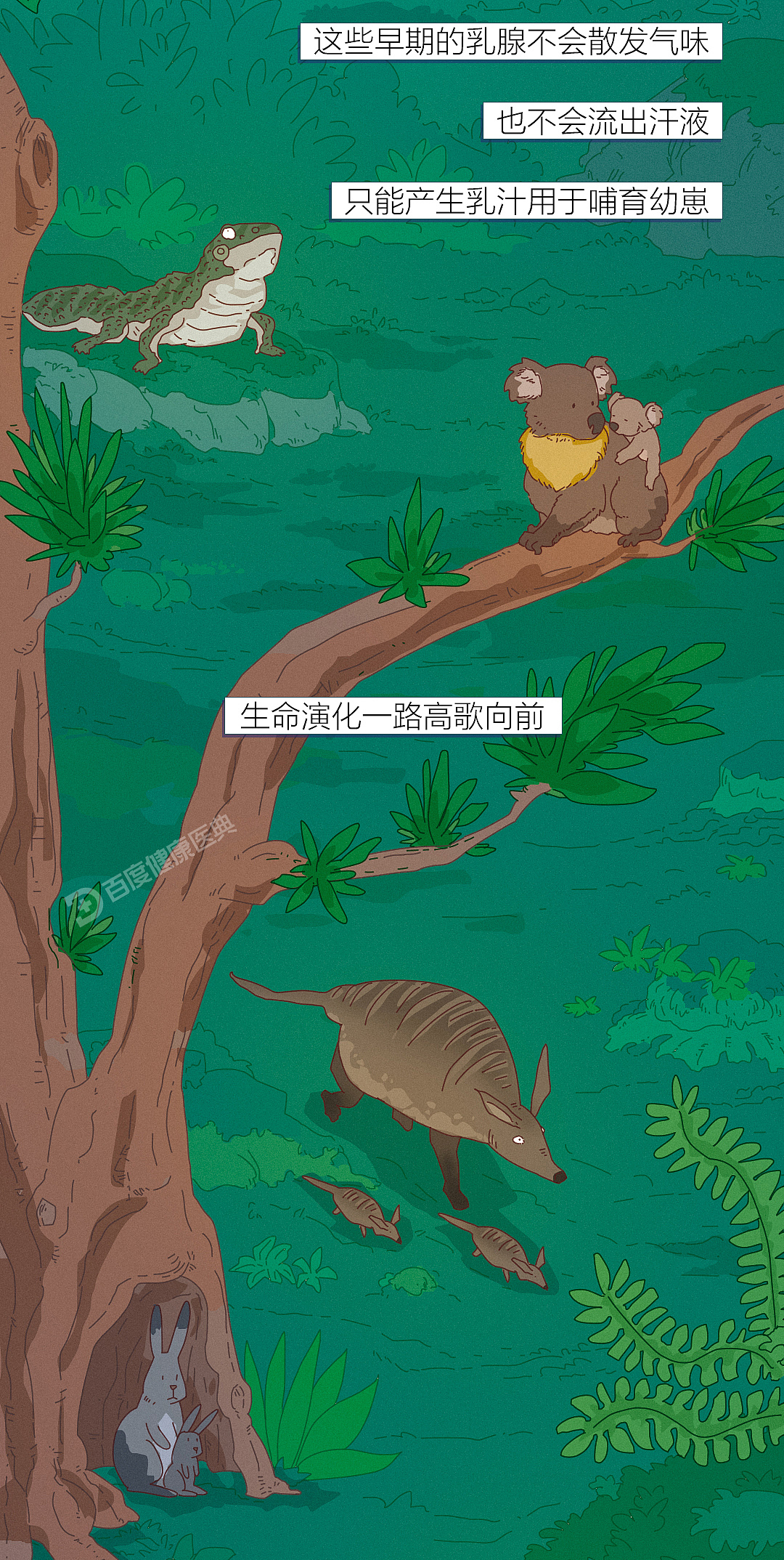 《百度健康医典：乳腺癌》条漫（健康科普）（图ZMzQ5NTU2NDcy） - 短篇/格漫 - 站酷设计师李平LP1919原创素材 - 站酷ZCOOL