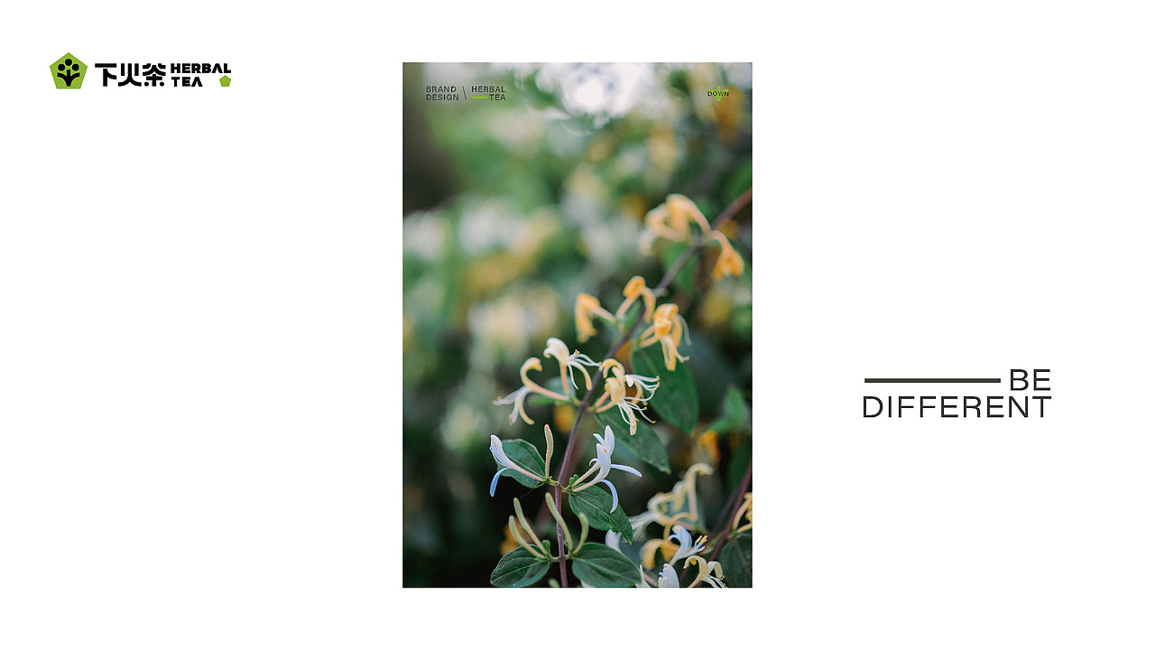 下火茶品牌提案（图ZMzM0MDEzMzQw） - 包装 - 站酷设计师ICE0758原创素材 - 站酷ZCOOL