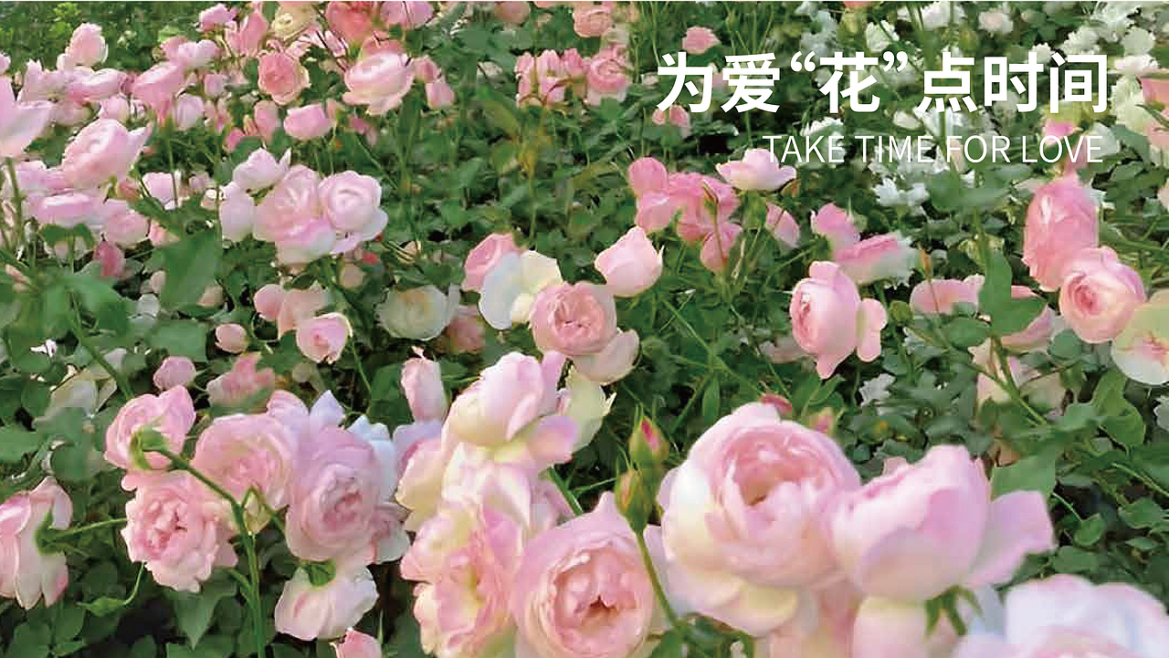 买花野（图ZMzQ0OTA2MTY0） - 品牌 - 站酷设计师王里走走原创素材 - 站酷ZCOOL