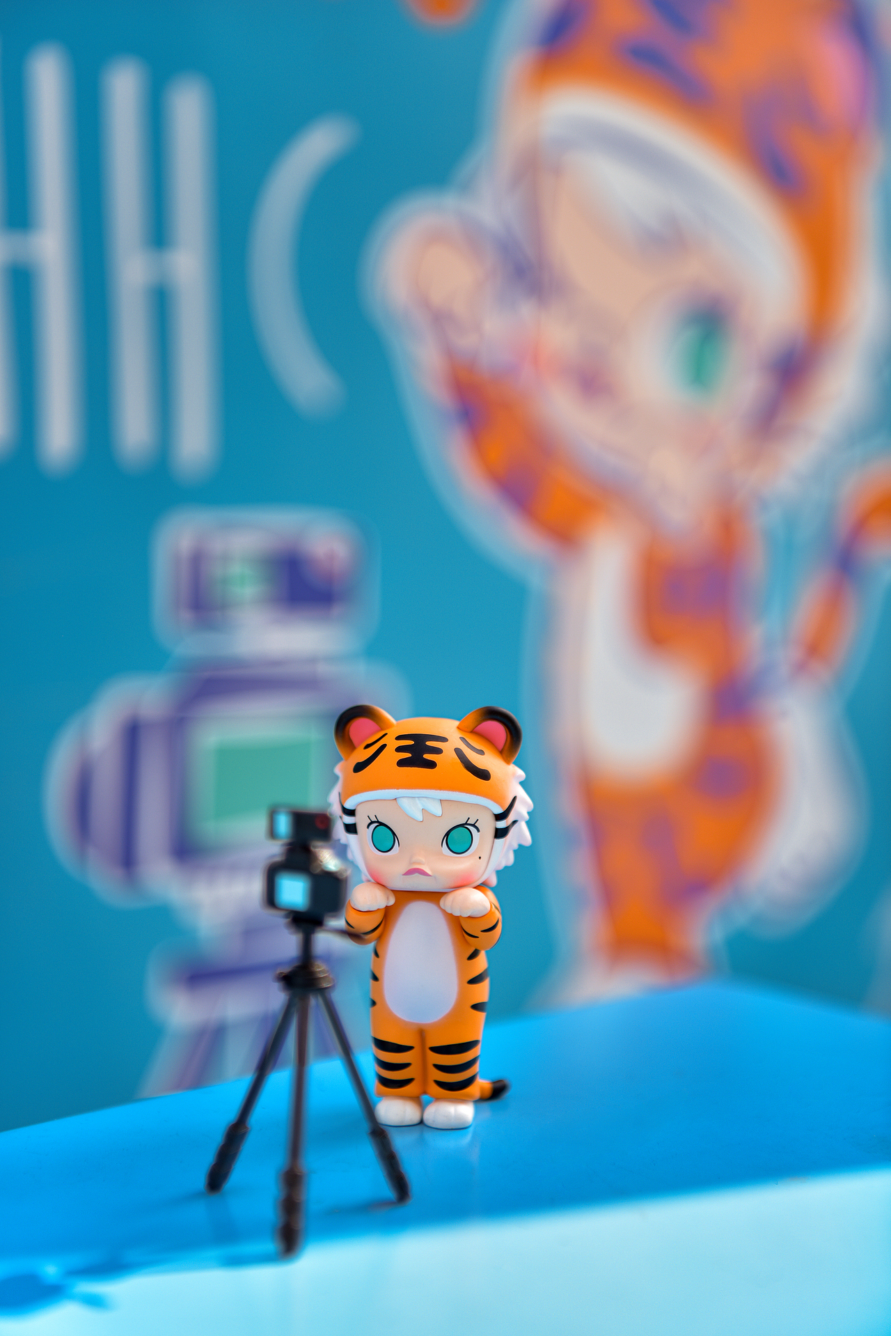 Molly放空的一天|奇遇港湾