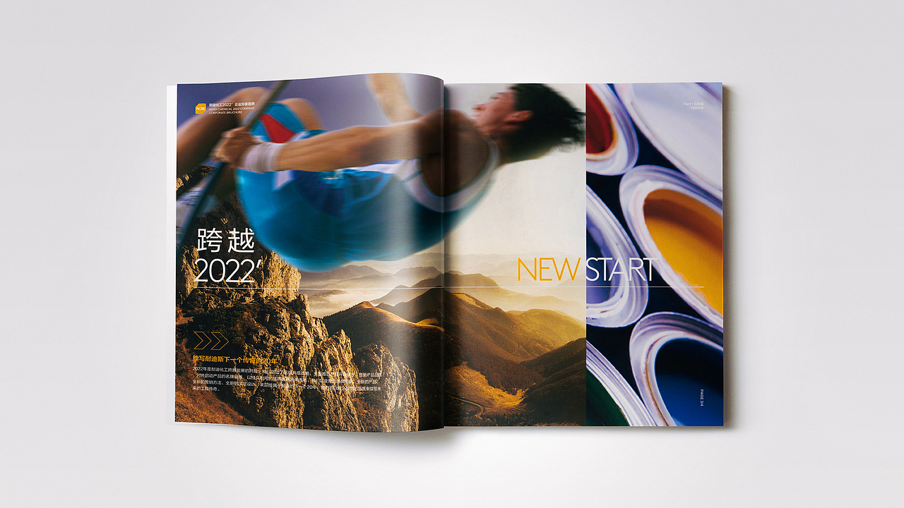 广东耐迪化工耐迪斯®品牌升级全案