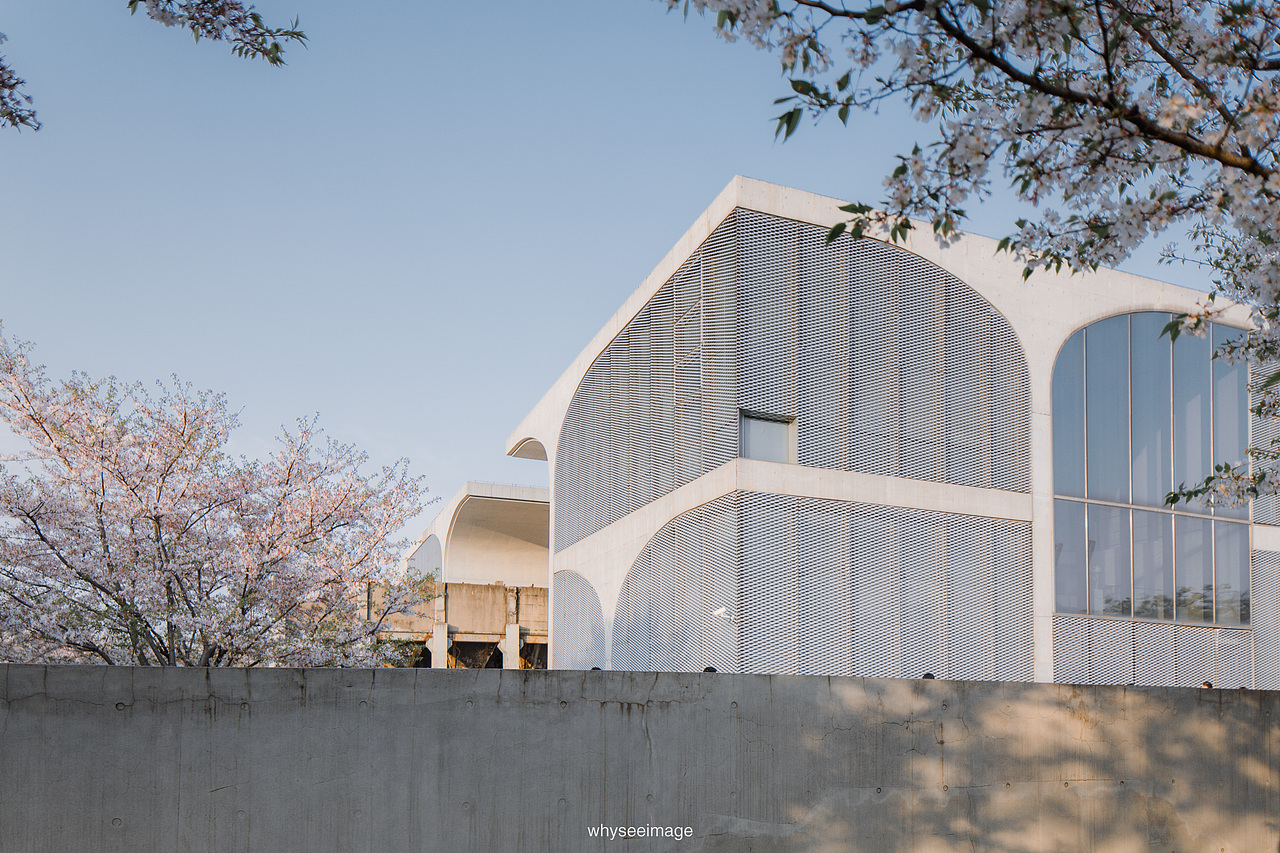 一片樱花在龙美旁落下 | 魔都建筑奇谭记（图ZMzAwODA1OTc2） - 环境/建筑摄影 - 站酷设计师whyseeimage原创素材 - 站酷ZCOOL