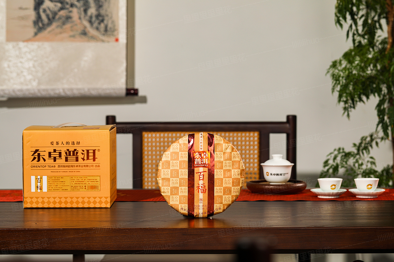 2024年 3月普洱茶拍摄