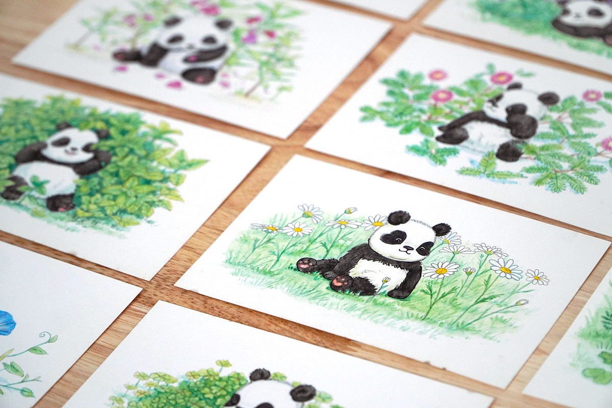 童年记忆里的小花小草