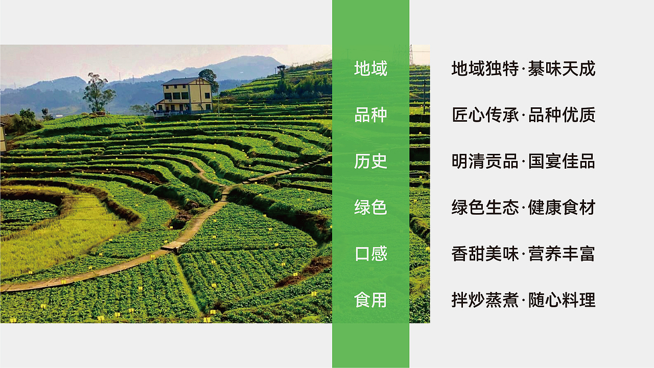 綦江赶水萝卜品牌全案策划