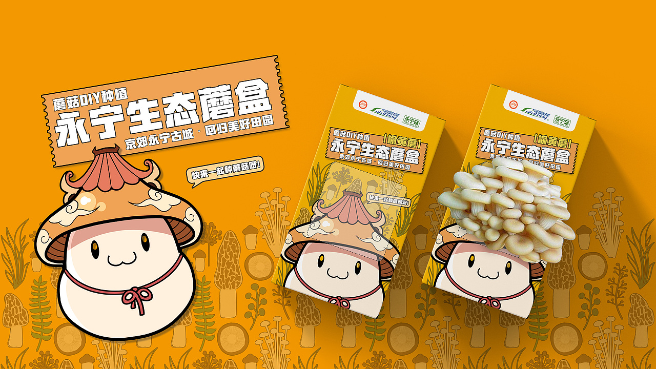 延庆的永宁蘑盒设计