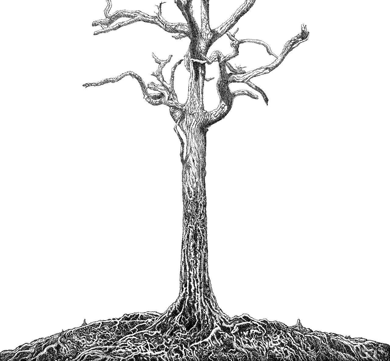 朋友（图ZMzQ5MTc4NTIw） - 创作习作 - 站酷设计师绿野仙踪WYT原创素材 - 站酷ZCOOL