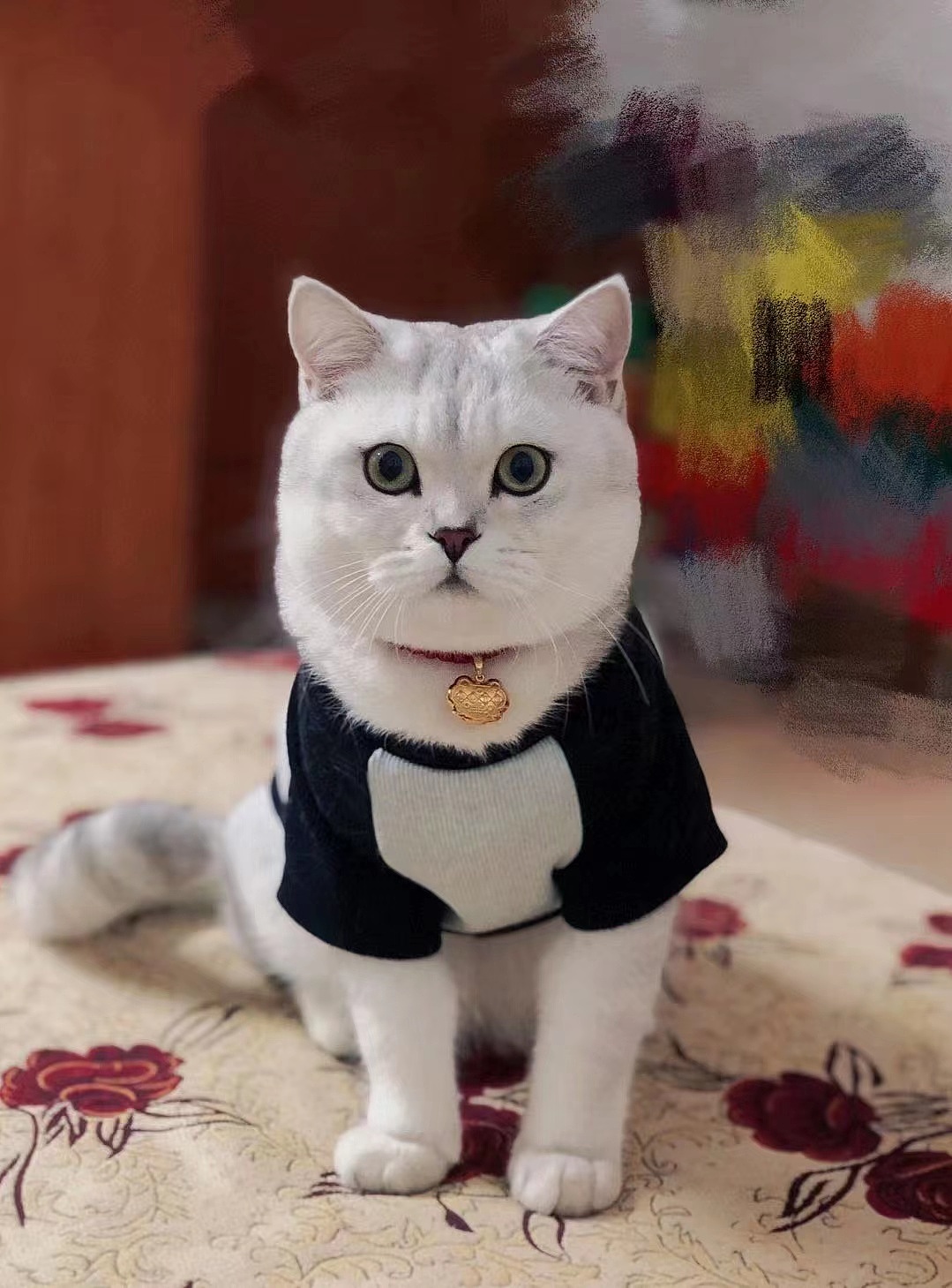 小时候脚大 长大了脸大